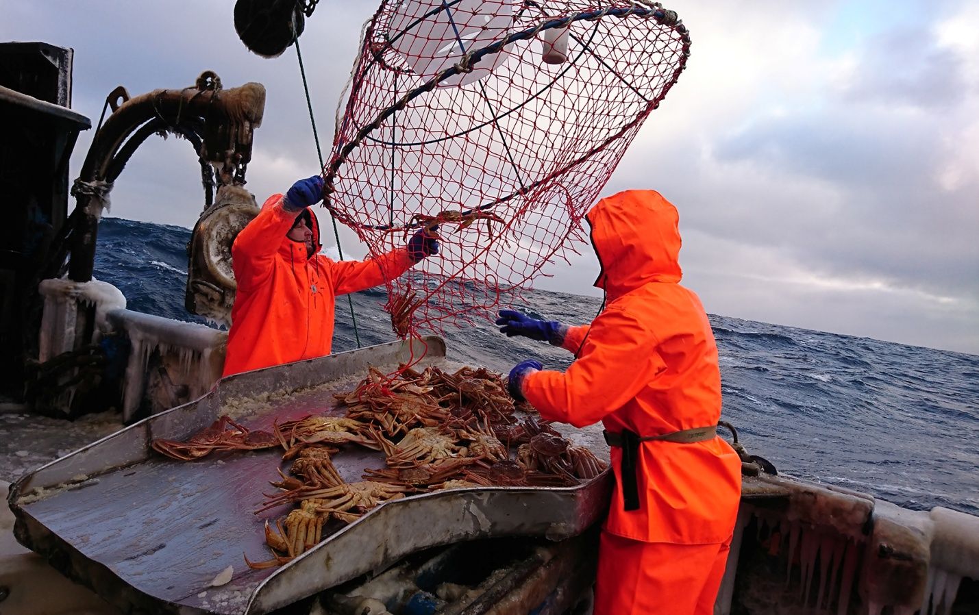 промысел в охотском море