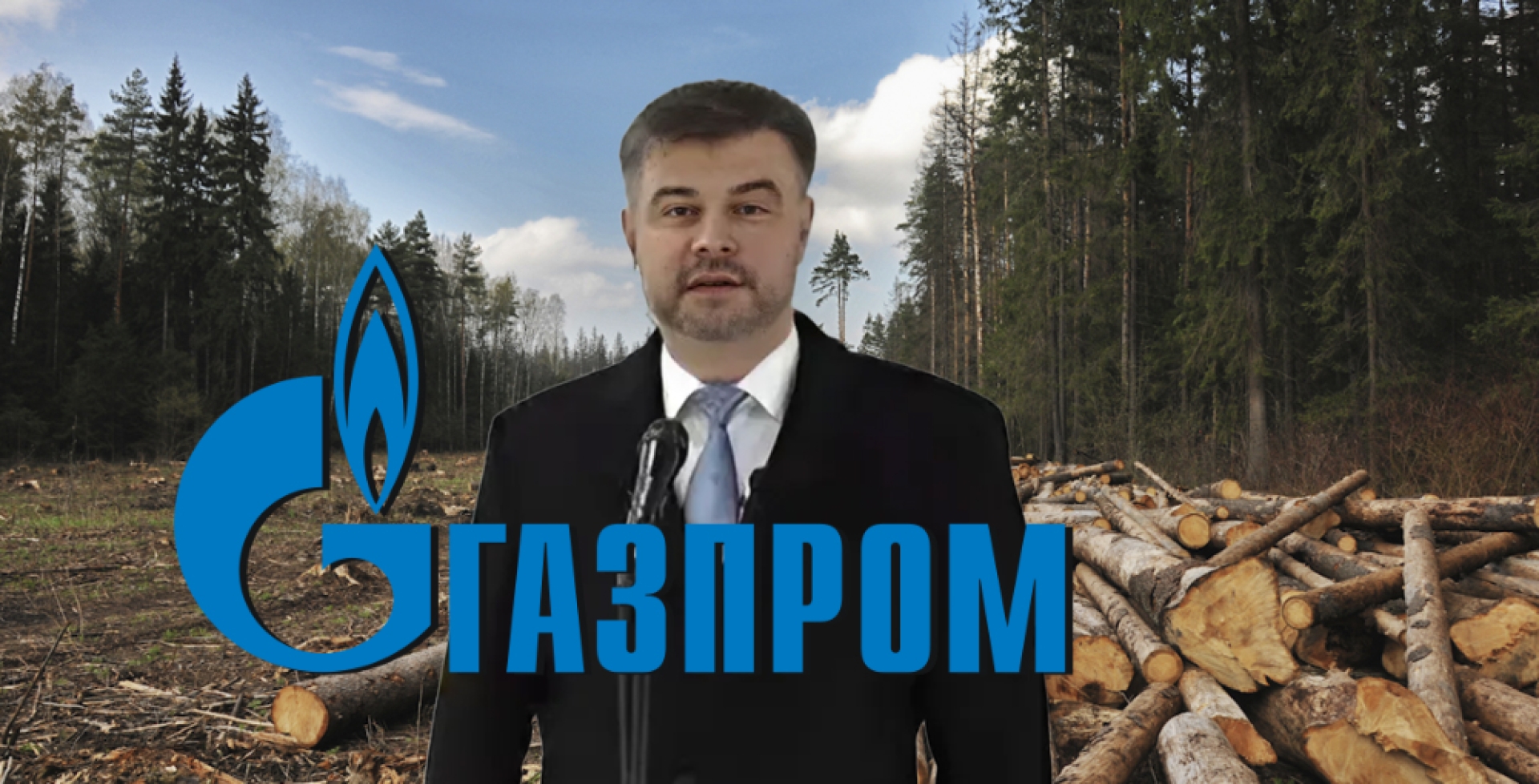 Пансионат вместо природы: Газпром и Генплан лишают петербуржцев леса |  новости России и Мира — The Moscow Post