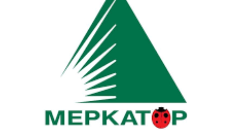 ООО Меркатор Холдинг